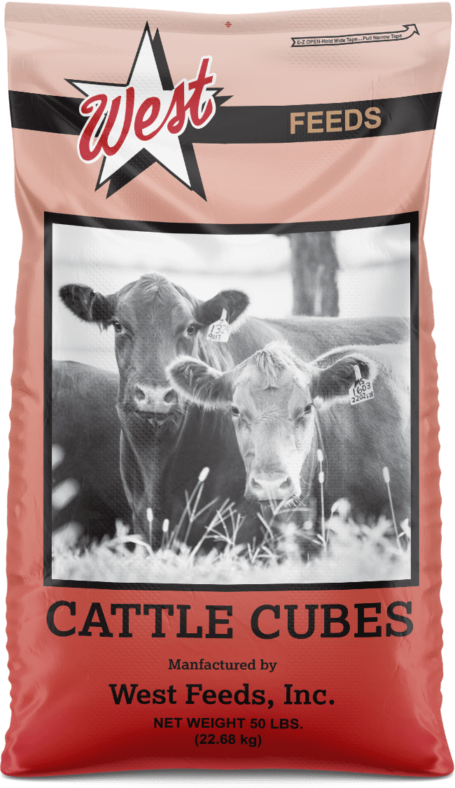 cattle cubes feed bag