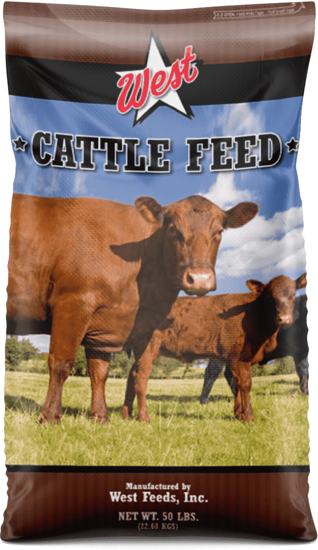 cattle feed bag
