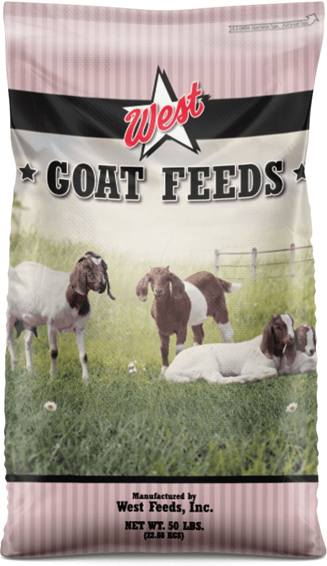 goat feed bag