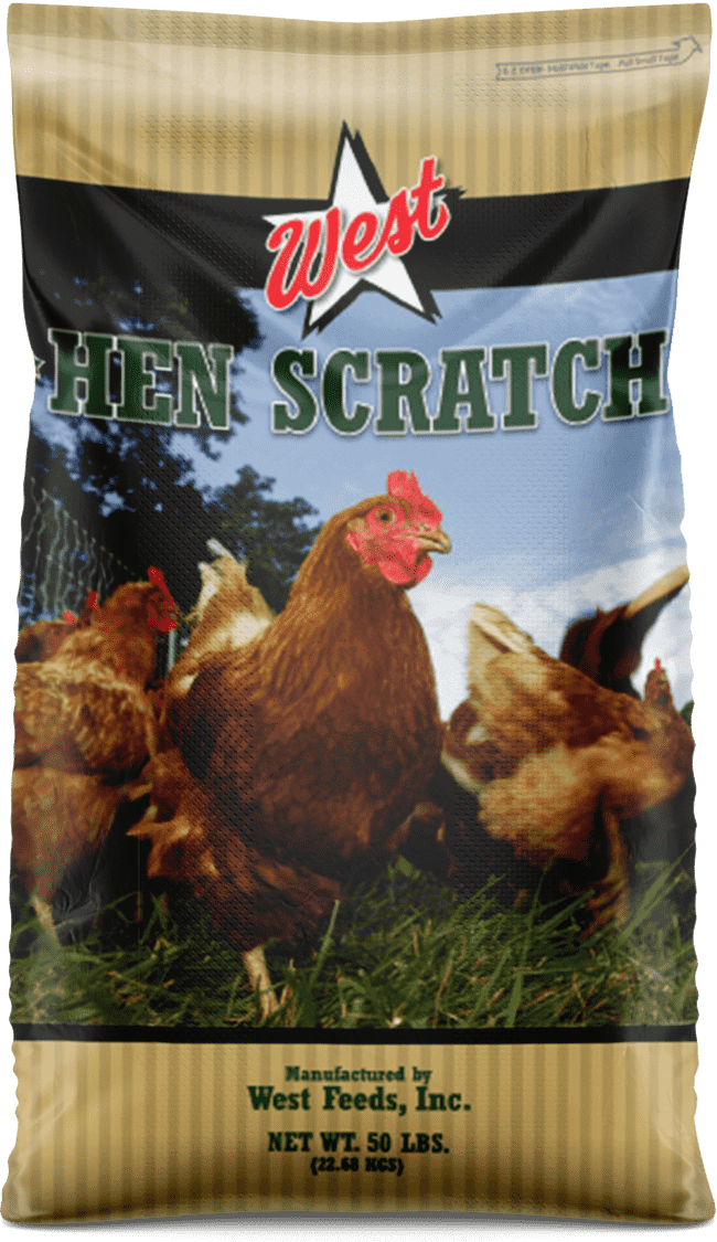 chicken and hen scratch feed bag