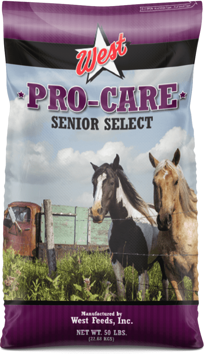 senior horse feed bag