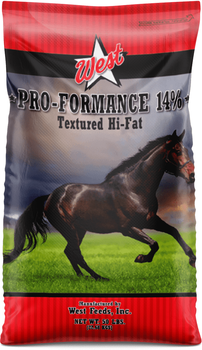 pro formance 14 horse feed bag