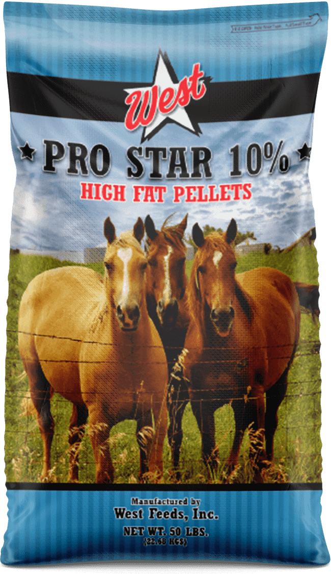 pro star high fat horse feed bag