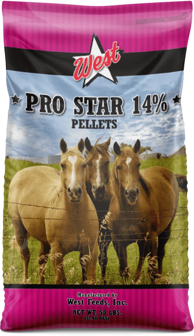 pro star 14 horse feed bag
