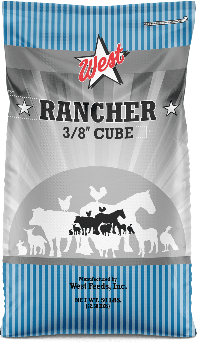 rancher cube bag